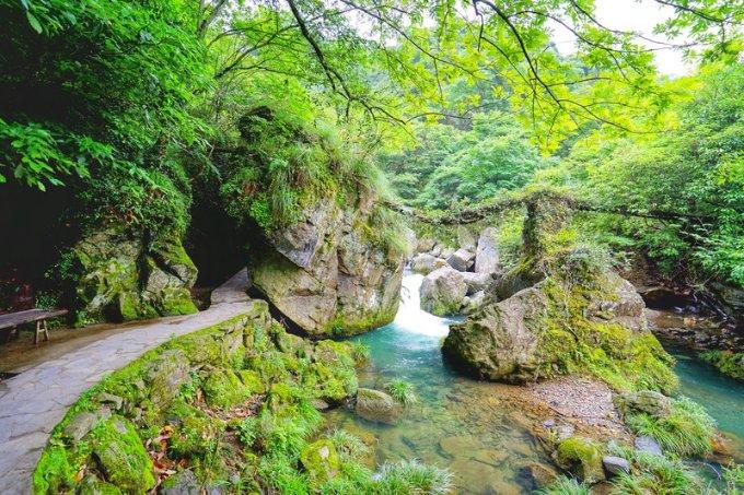 机场直通车方便旅客出行